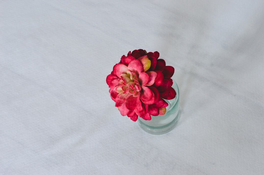 pink flower on clear glass vase