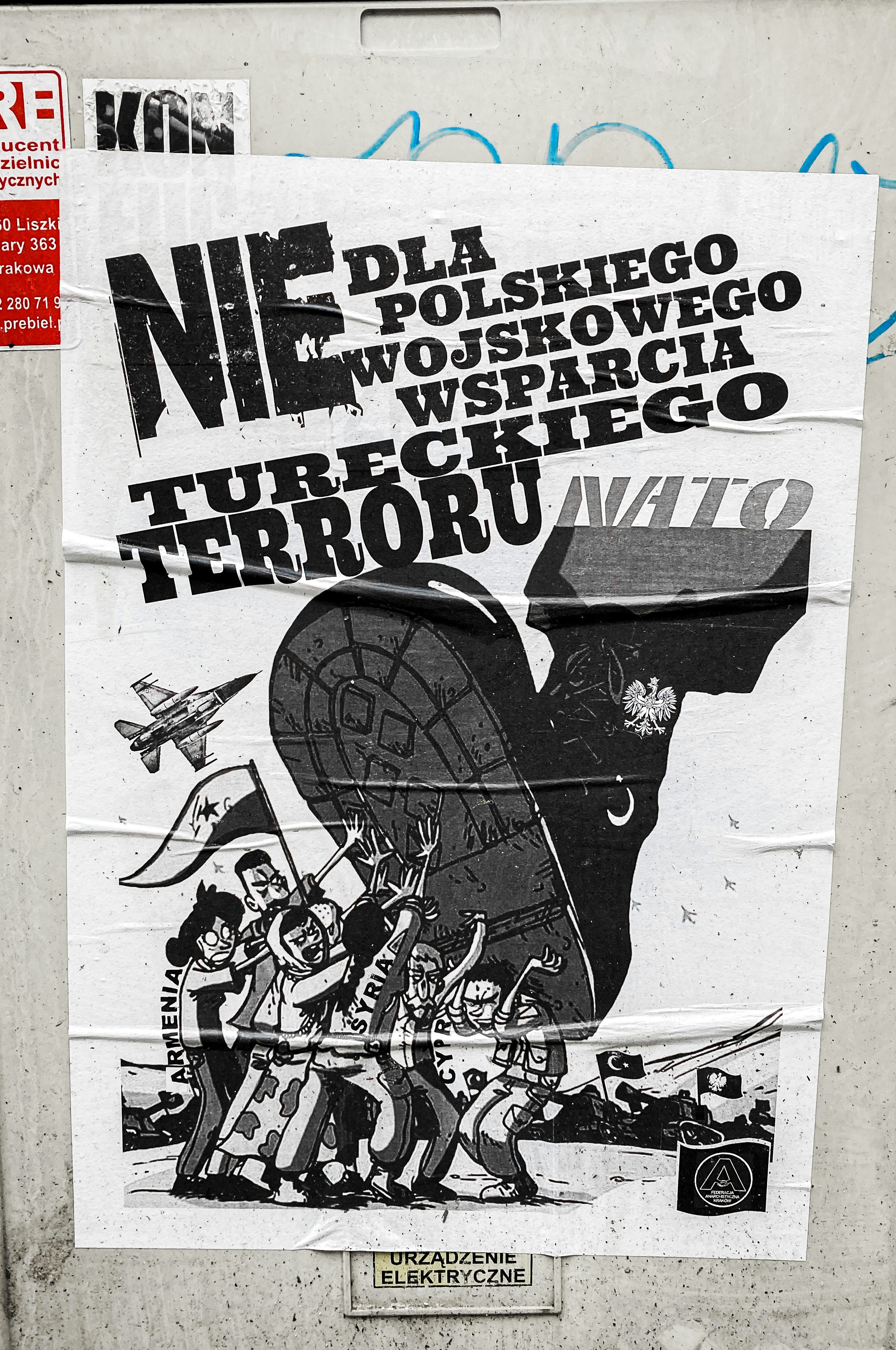 Understanding the Polish Occupational Selection Strategy Trends in Career Choices