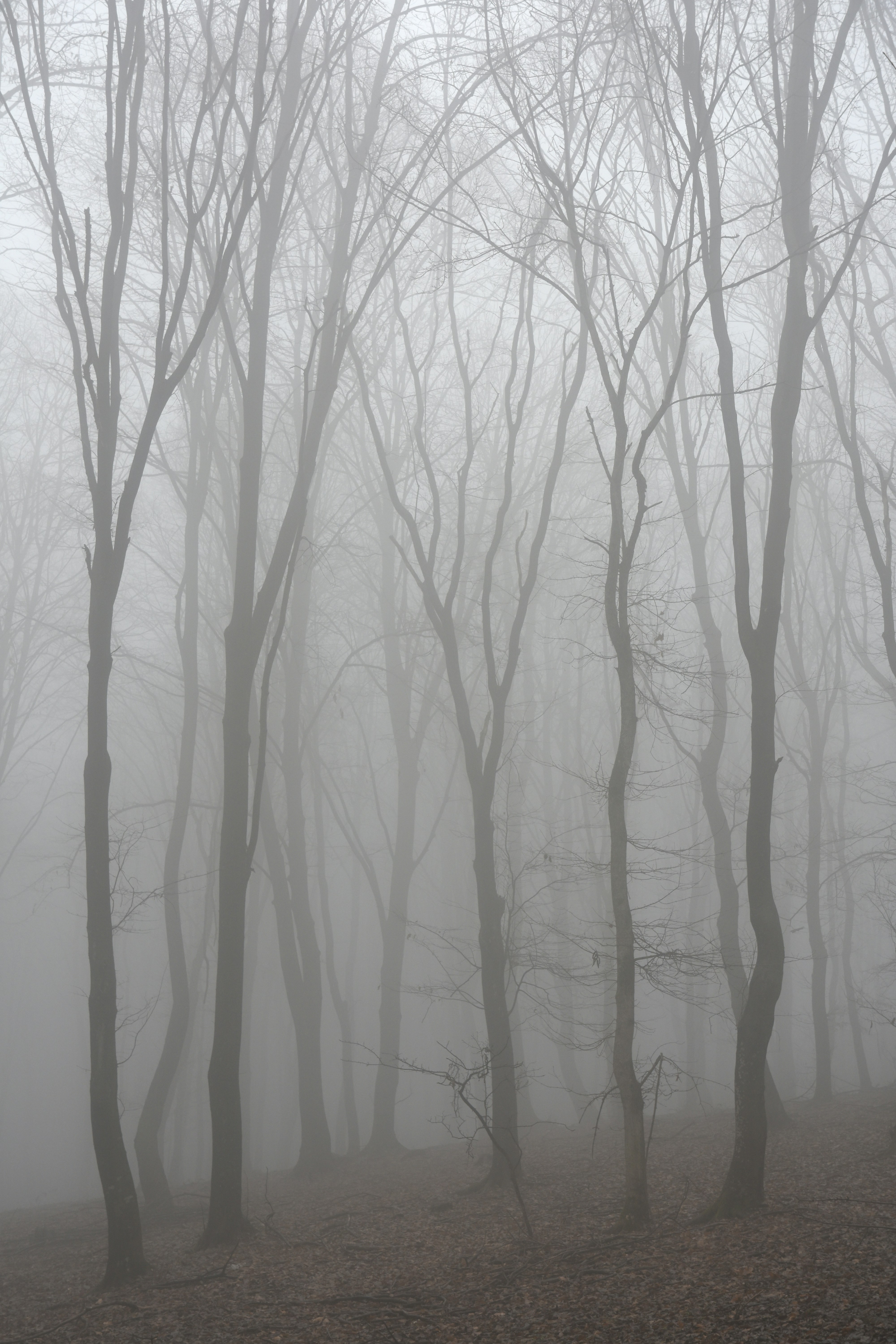 Photo by illes_cristi