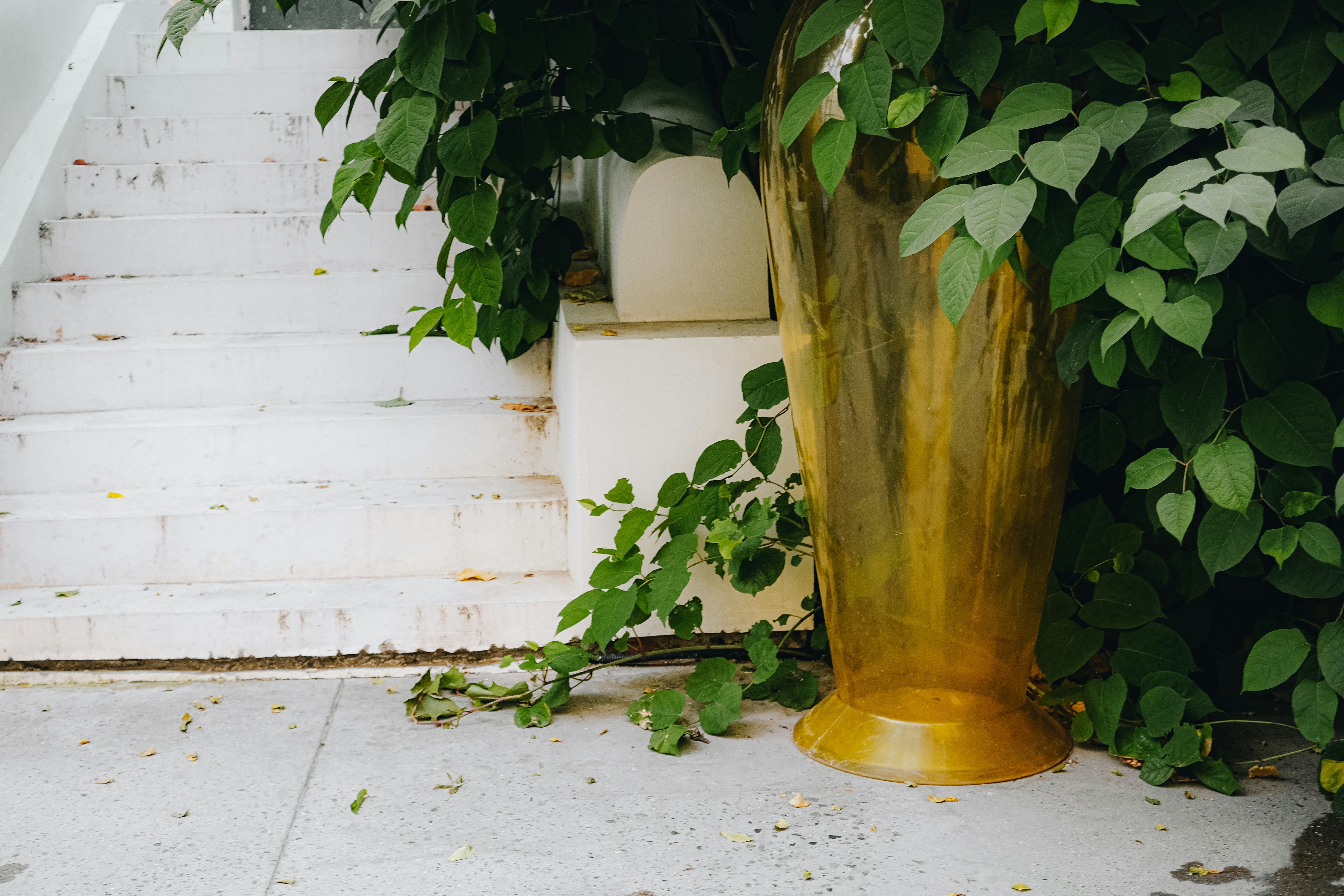 Photo by eva_gorobets_