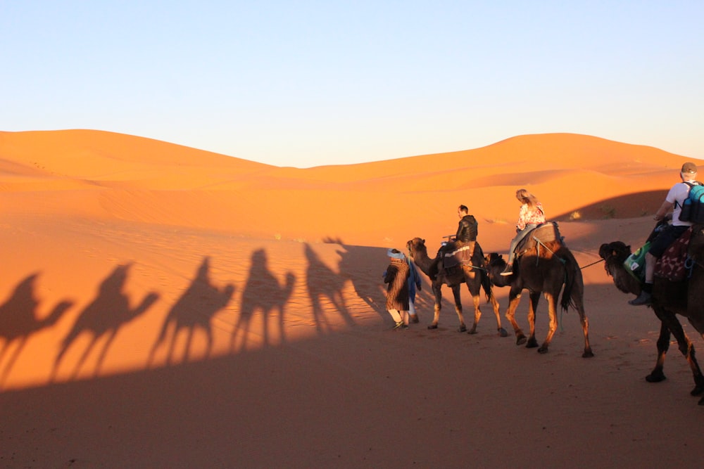 昼間、砂漠でラクダに乗る人々