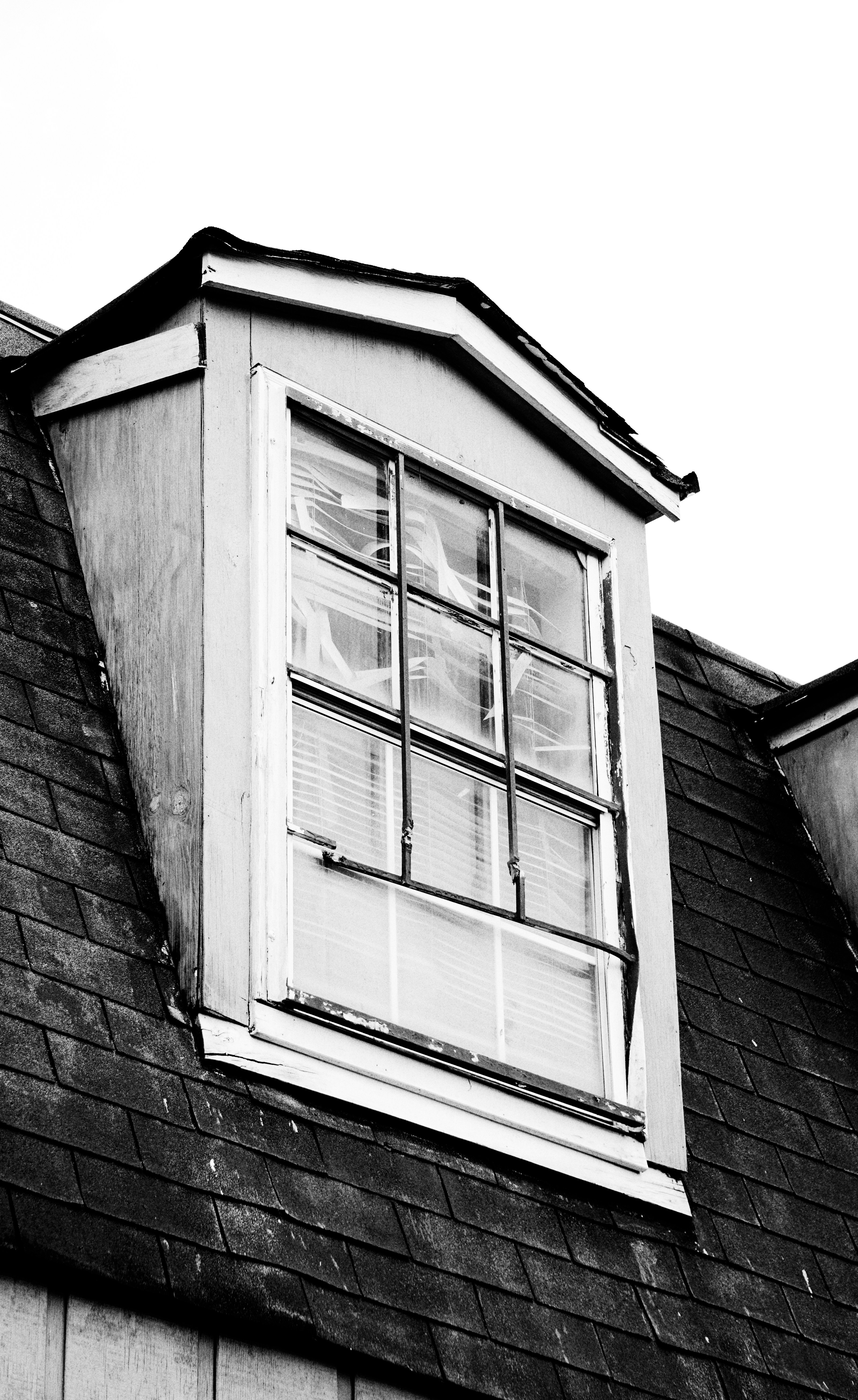 Photo by lyyfe_williams