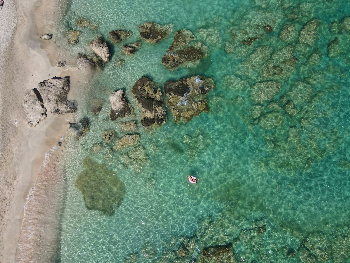aerial view of people swimming on beach during daytime