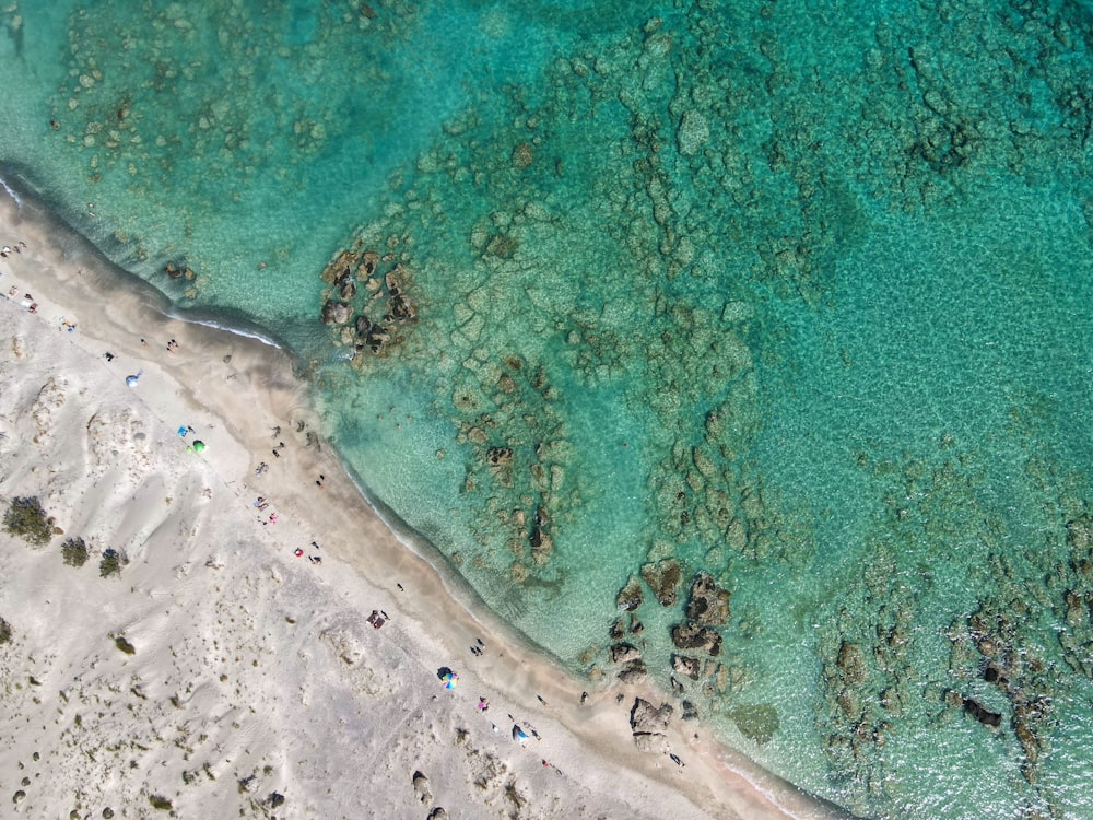 aerial view of beach during daytime