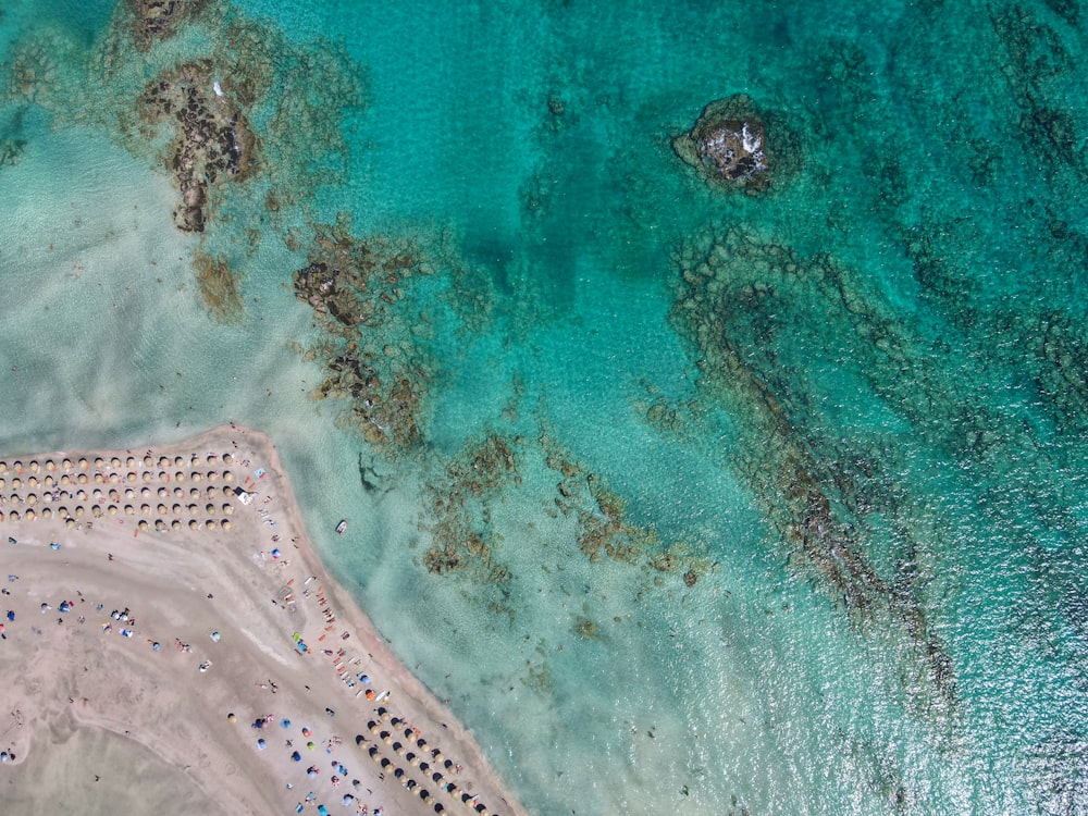 aerial view of beach during daytime