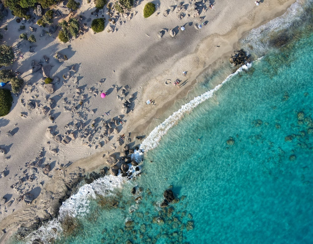 Vue aérienne de personnes sur la plage pendant la journée