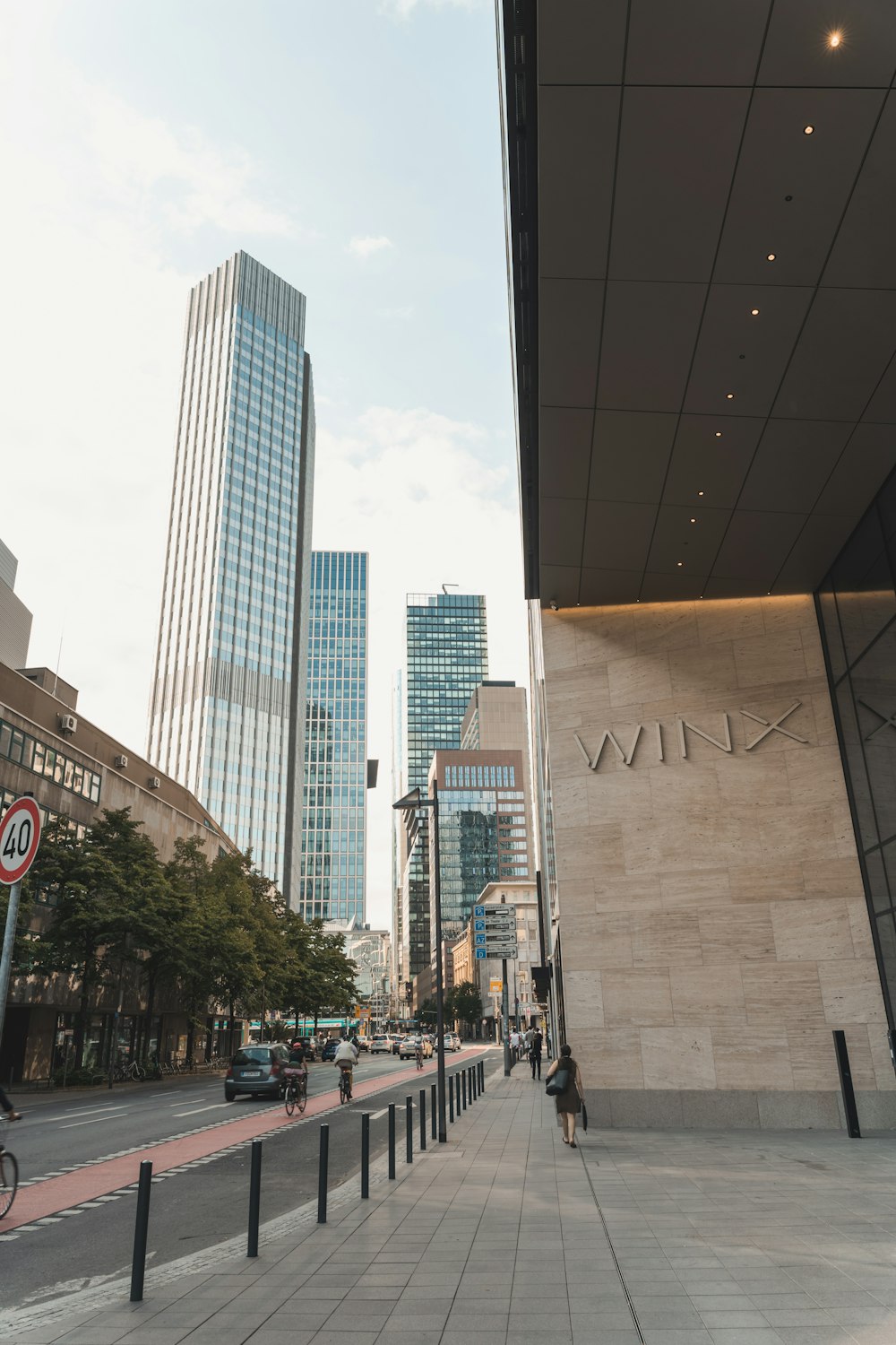 people walking on pedestrian lane near high rise buildings during daytime