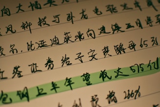 Several lines of handwritten Chinese characters are visible on a piece of paper, with one line highlighted in green. The text is written in dark ink, and the background is a light cream color.