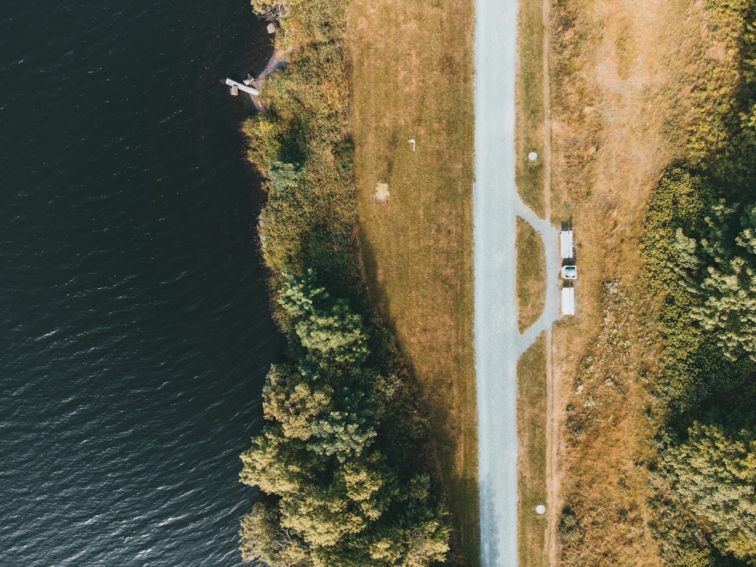 green grass field near body of water during daytime