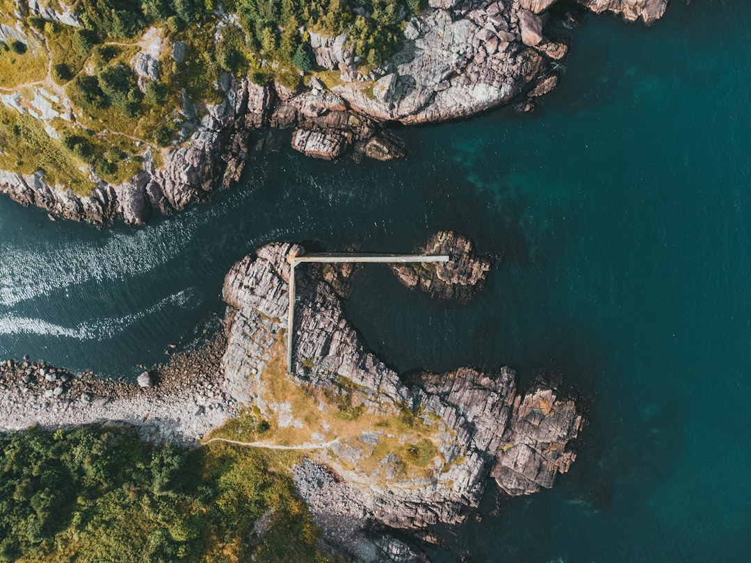 aerial view of bridge over river