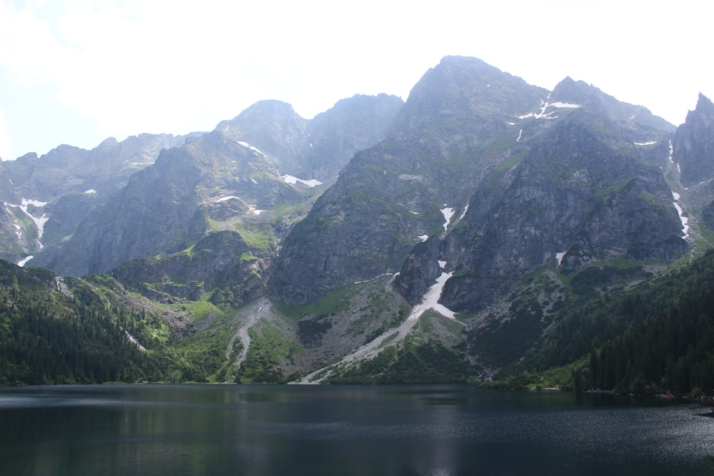 green and white mountains beside body of water during daytime