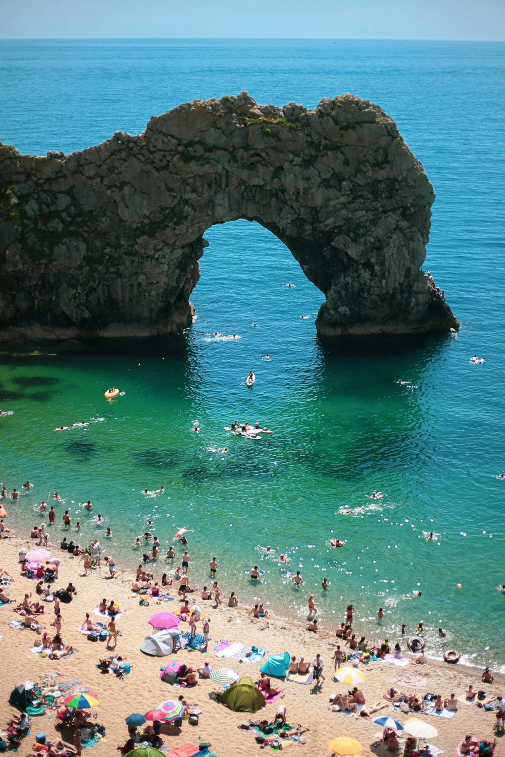 people on beach during daytime