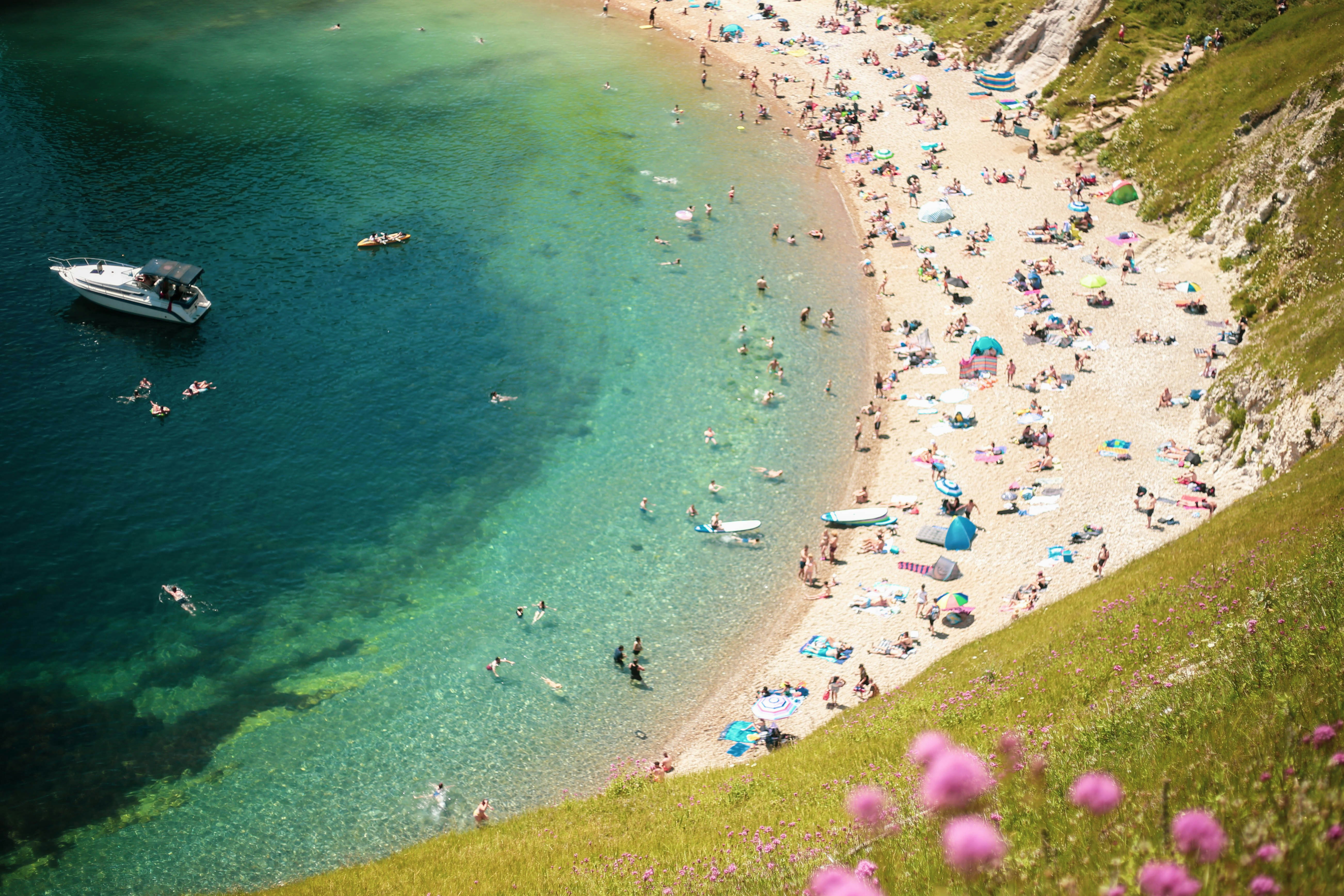 people on beach during daytime