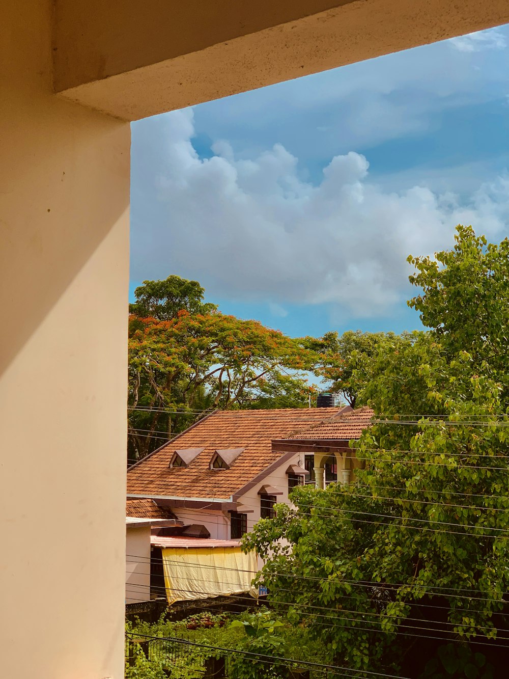 green trees beside brown concrete house during daytime