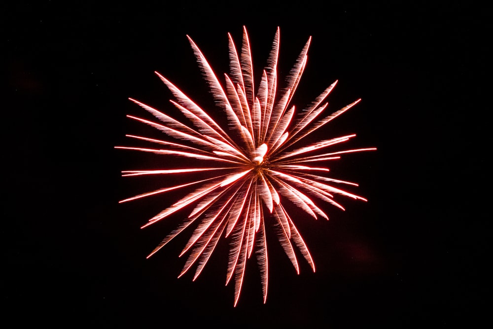 feux d’artifice rouges dans le ciel