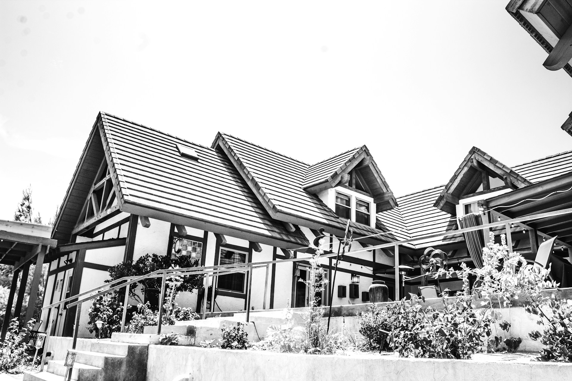 grayscale photo of houses near trees