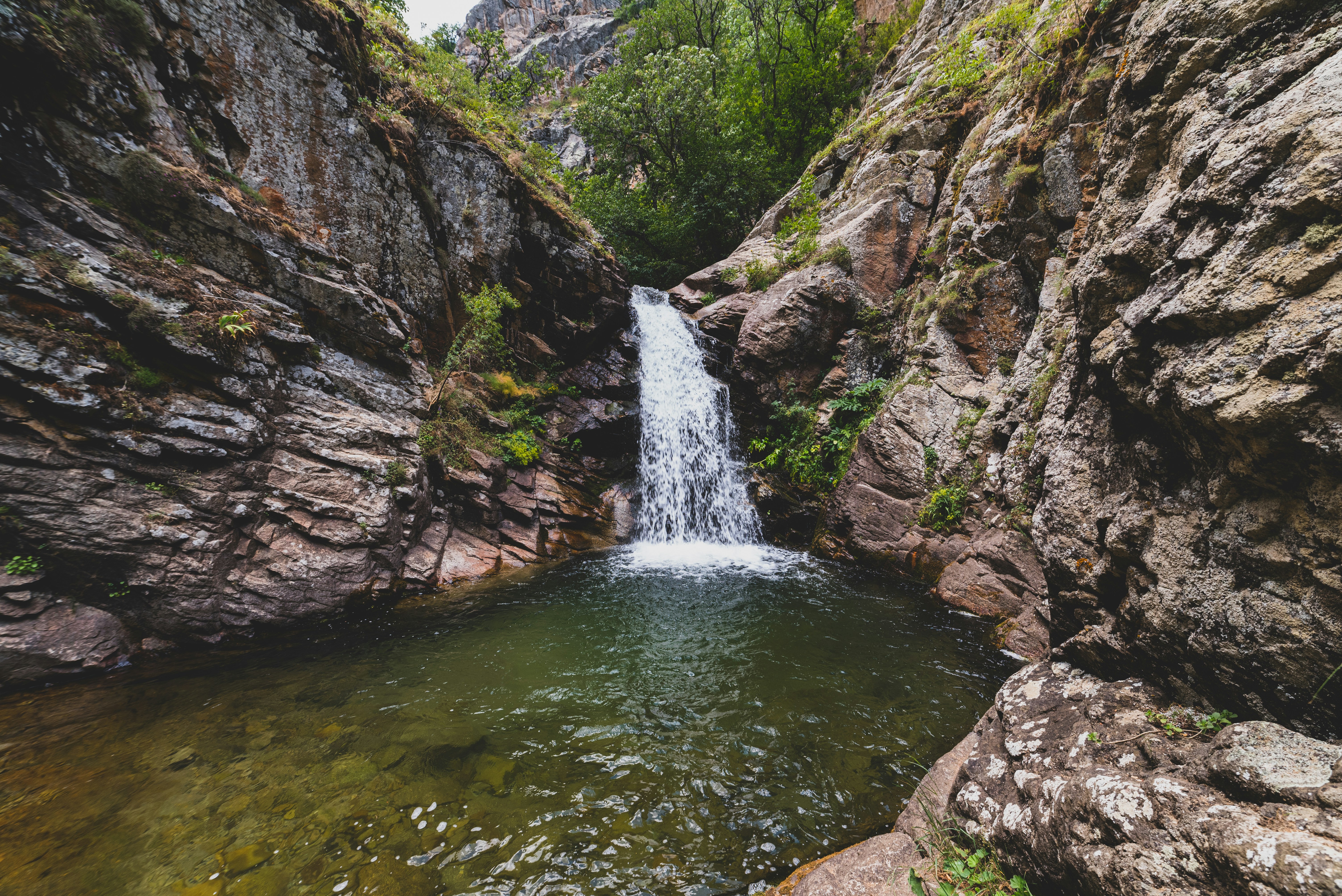 Photo by aniadigyozalyan