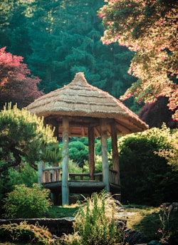 A charming wooden garden gazebo surrounded by lush greenery and blooming flowers.