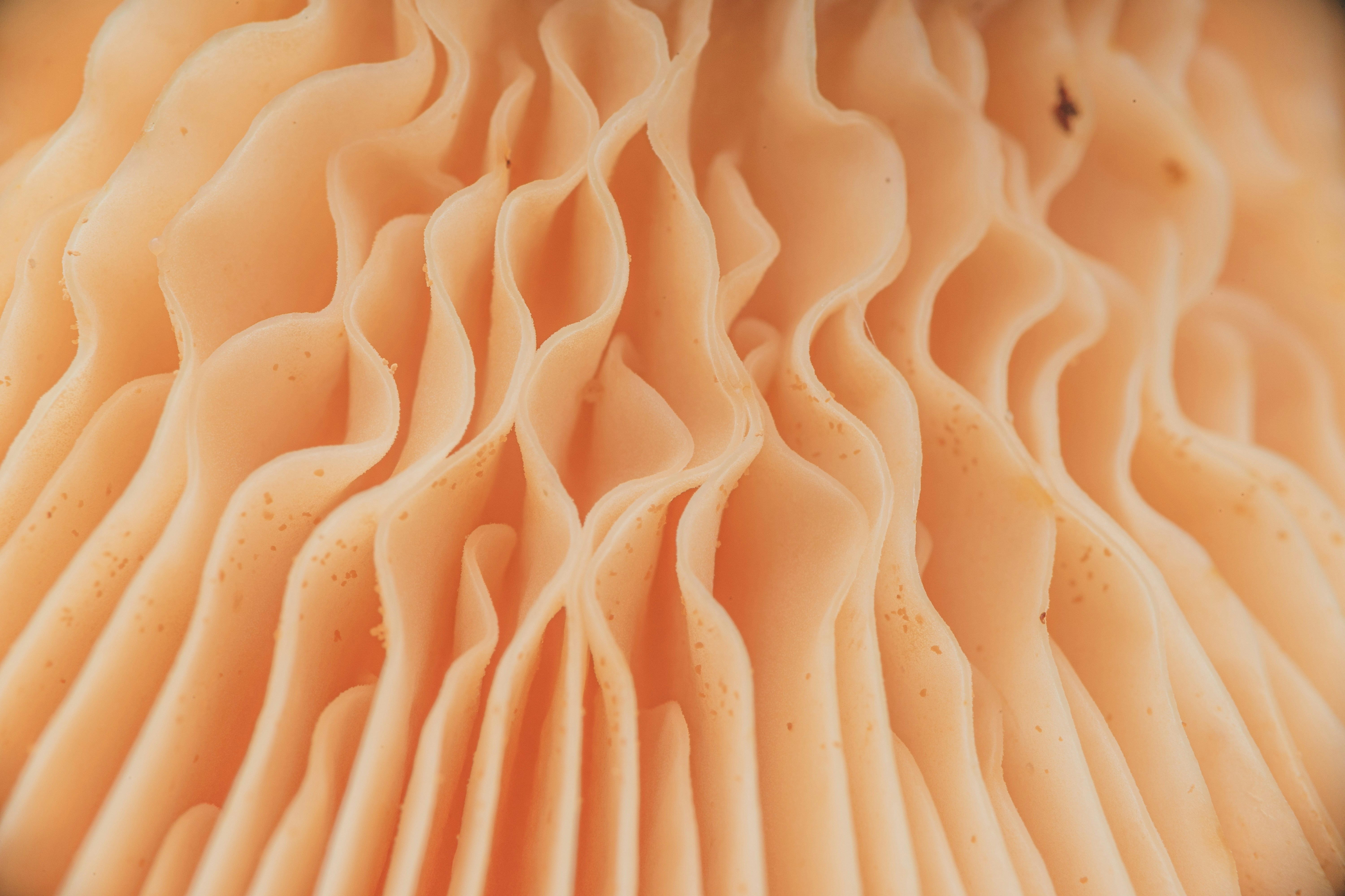 throat pain wallpaper, wallpaper, Obat Radang Tenggorokan: Penyebab, Gejala, dan Pengobatan 5