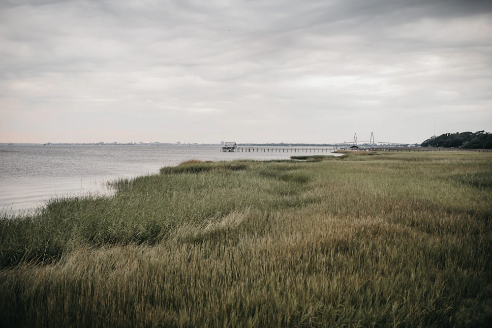South Carolina Lowcountry property management detail