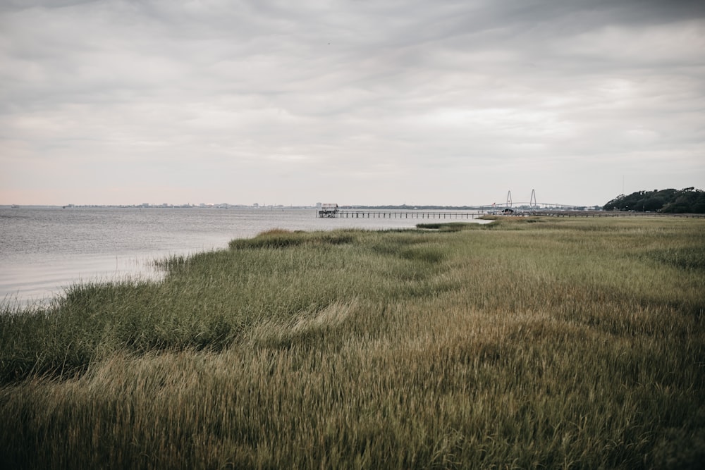 green grass field near body of water during daytime