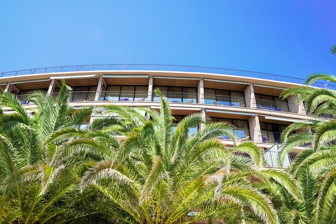 green palm tree near beige concrete building