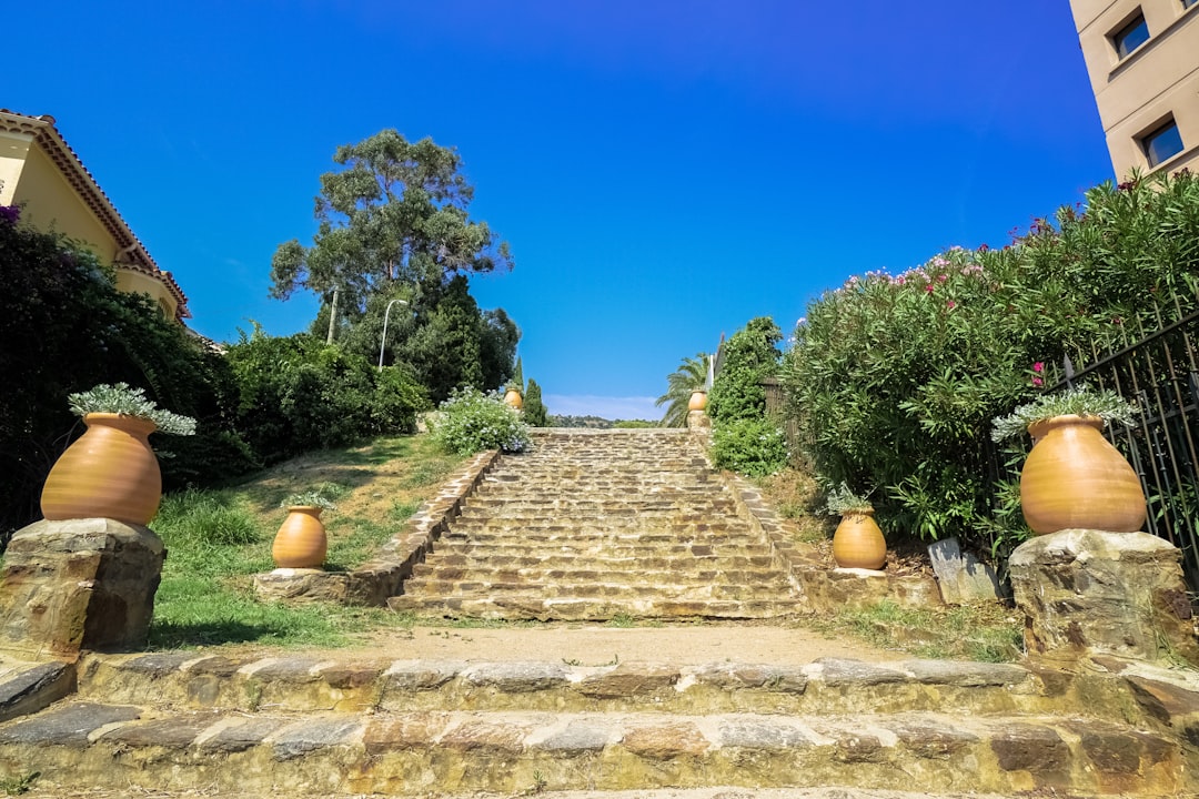 brown and gray concrete pathway between green trees under blue sky during daytime