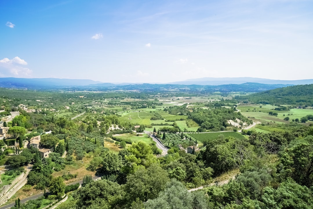 green trees and green grass field under blue sky during daytime