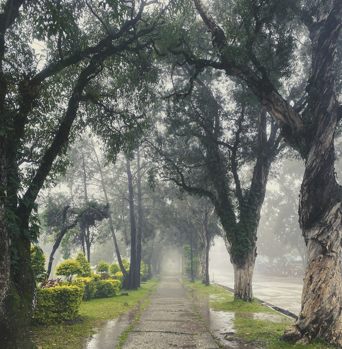 Burnham Park