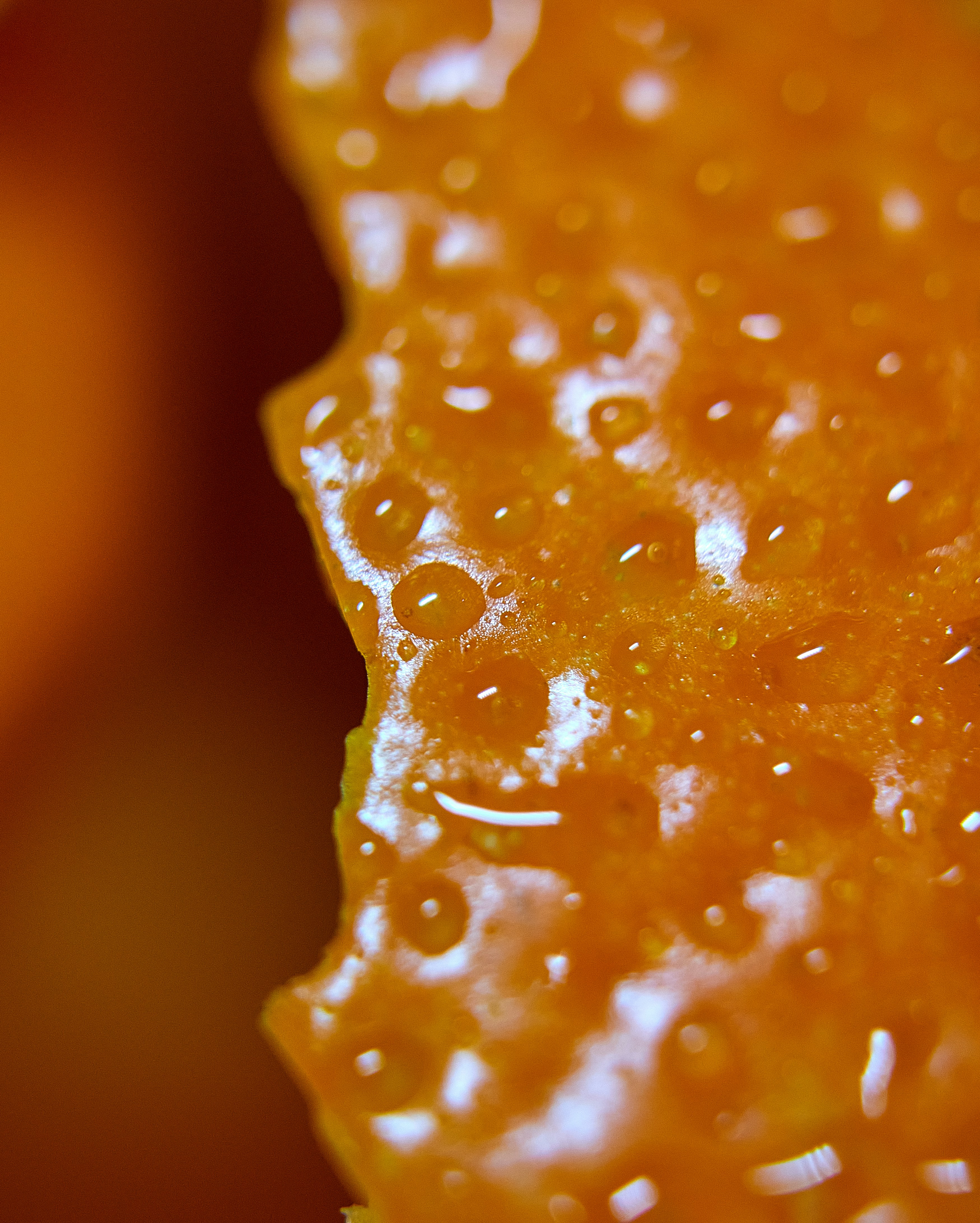 Photo by oscarsalgado