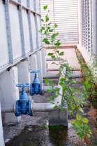 A section of an industrial facility featuring two blue valve handles on a large metal pipe system. The metal pipes are supported by concrete structures. Surrounding the pipes are green plants with leaves growing in the area, adding a touch of nature to the industrial setting. The background shows a slatted structure that allows light to filter through.