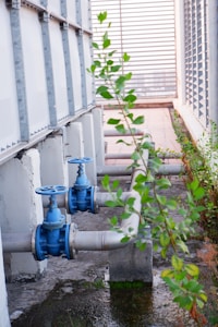 A section of an industrial facility featuring two blue valve handles on a large metal pipe system. The metal pipes are supported by concrete structures. Surrounding the pipes are green plants with leaves growing in the area, adding a touch of nature to the industrial setting. The background shows a slatted structure that allows light to filter through.