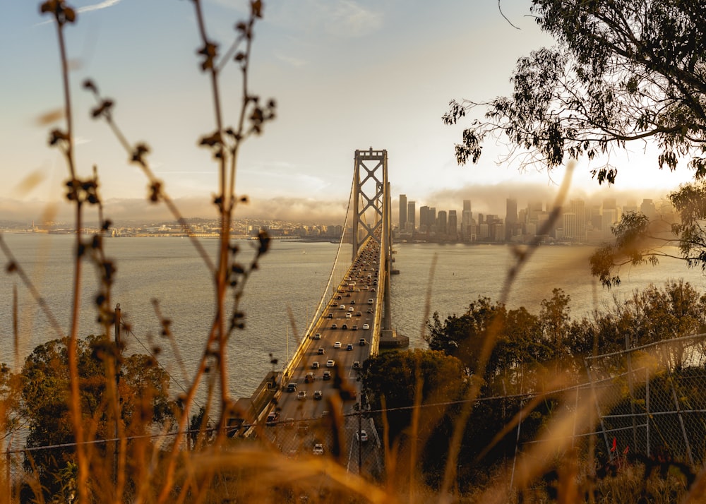 bridge over body of water during daytime