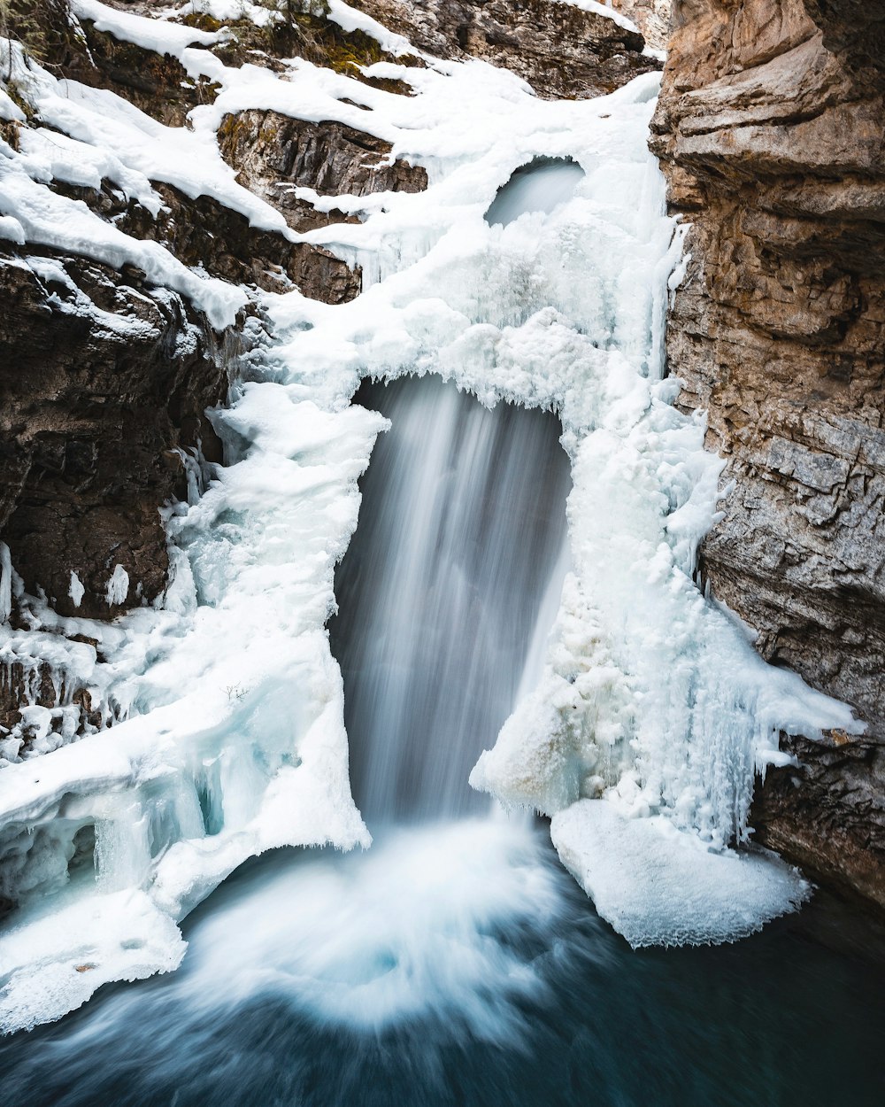 snow covered trees and rocks