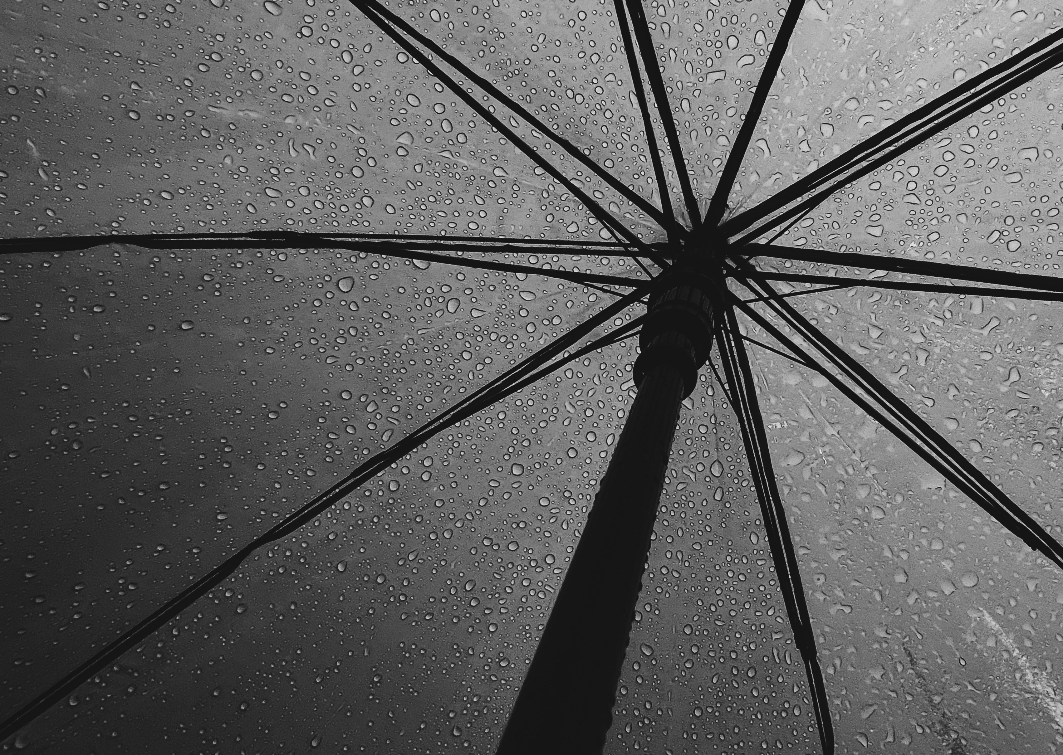 Classic Compact Umbrella