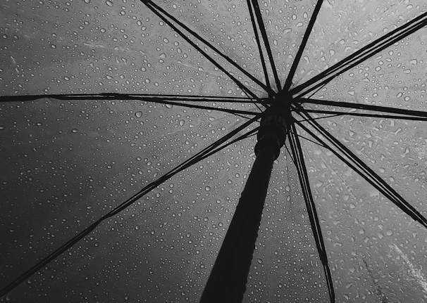Close-up of a sleek black foldable umbrella with water droplets on its surface.