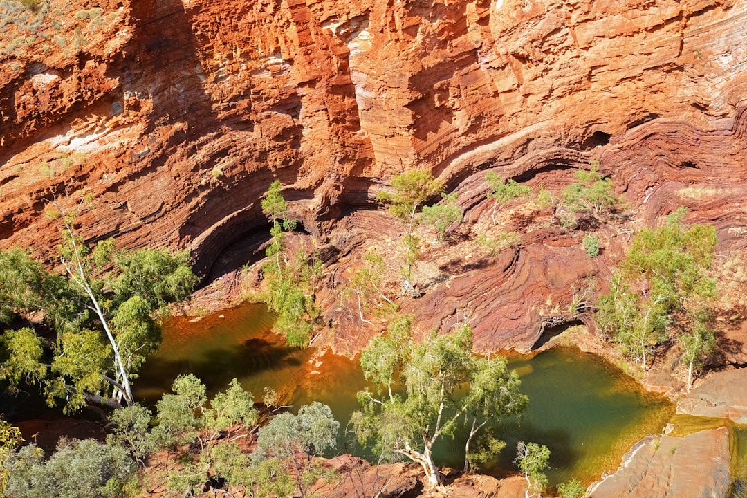 brown rock formation near green trees during daytime