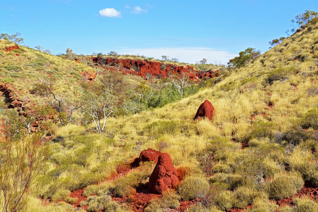 brown rock formation on green grass field during daytime