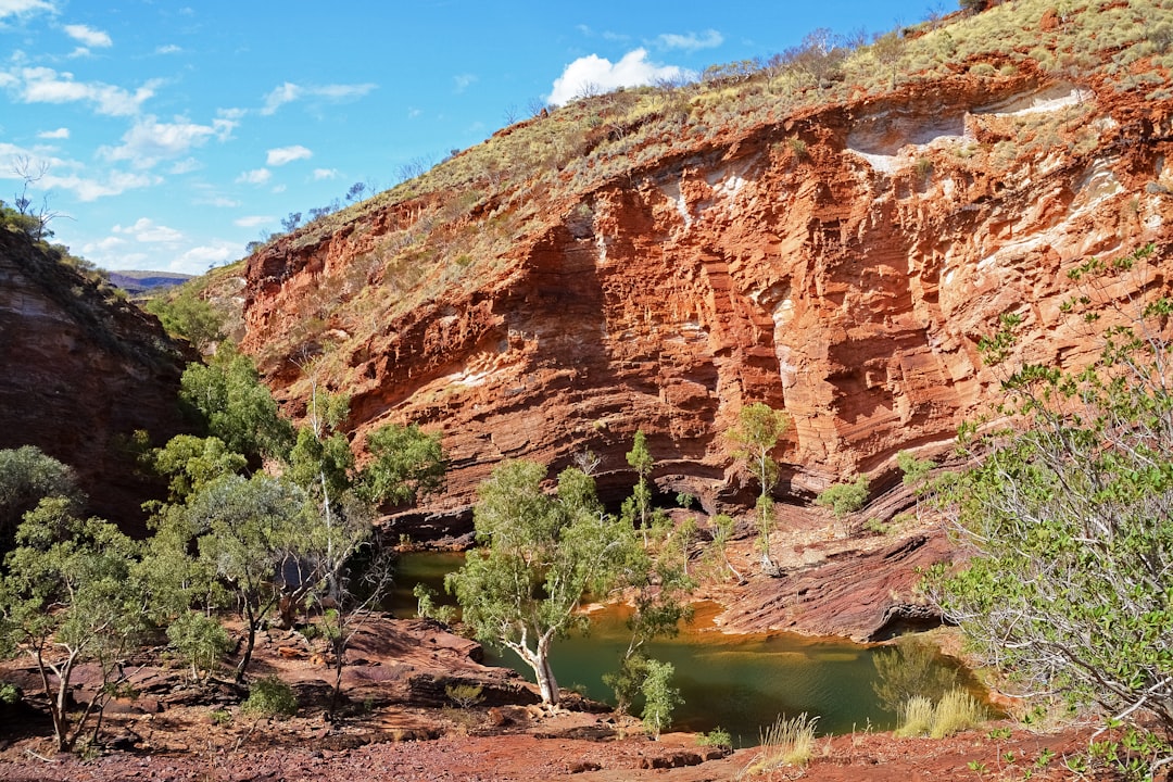 brown rock formation near green trees during daytime