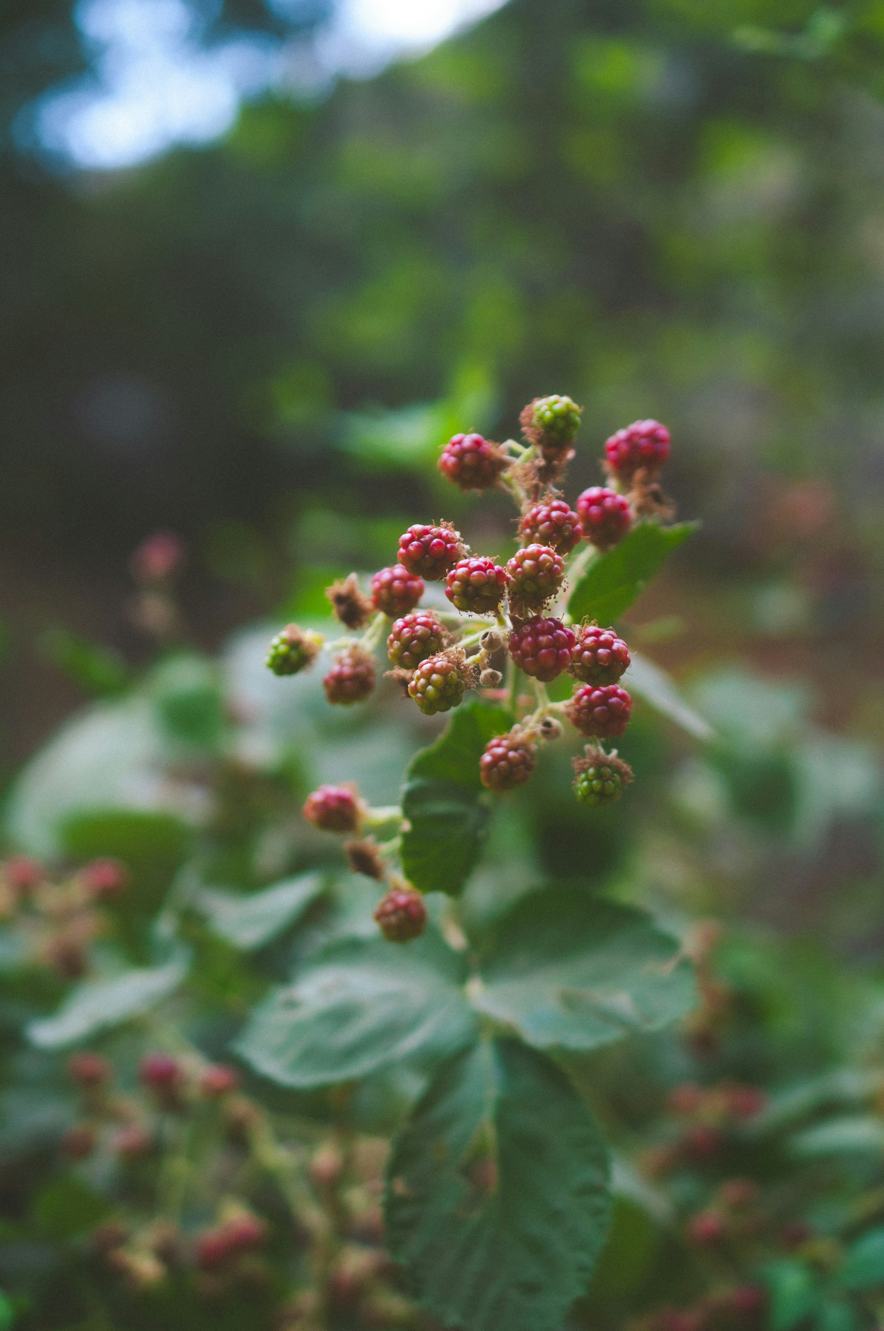 Photo by colinfitzgerald328