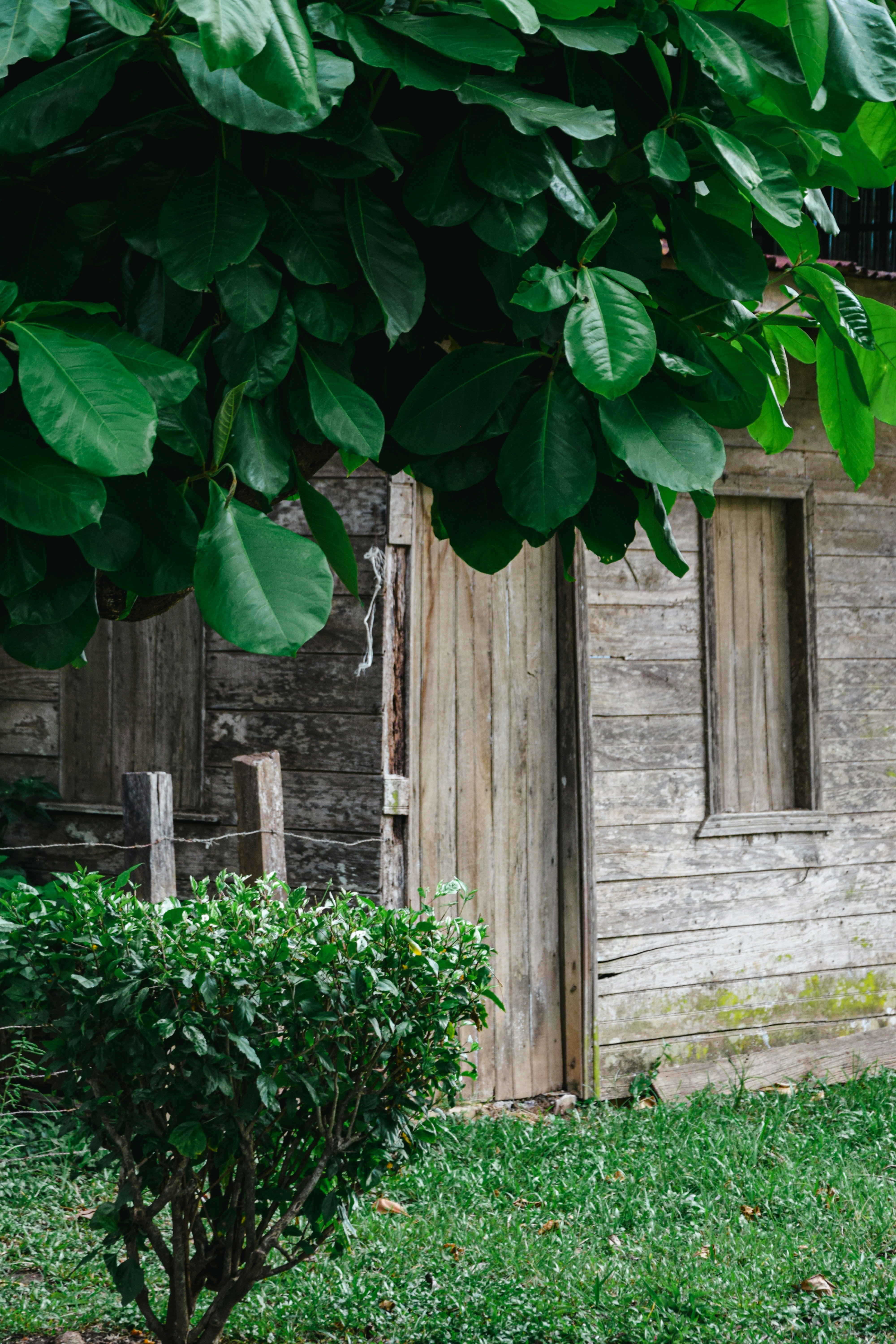 Photo by framesforyourheart