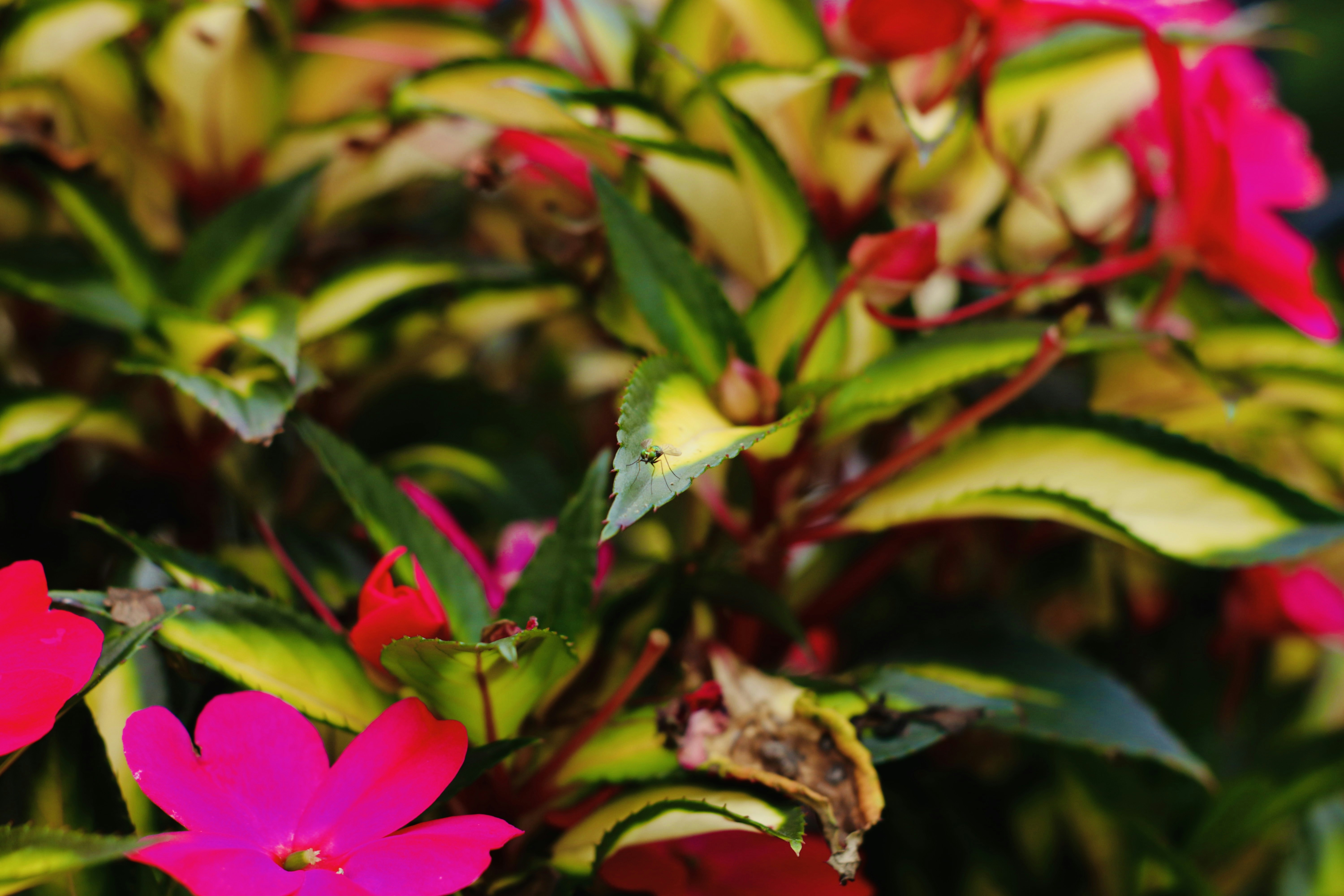 Photo by manuelthelensman