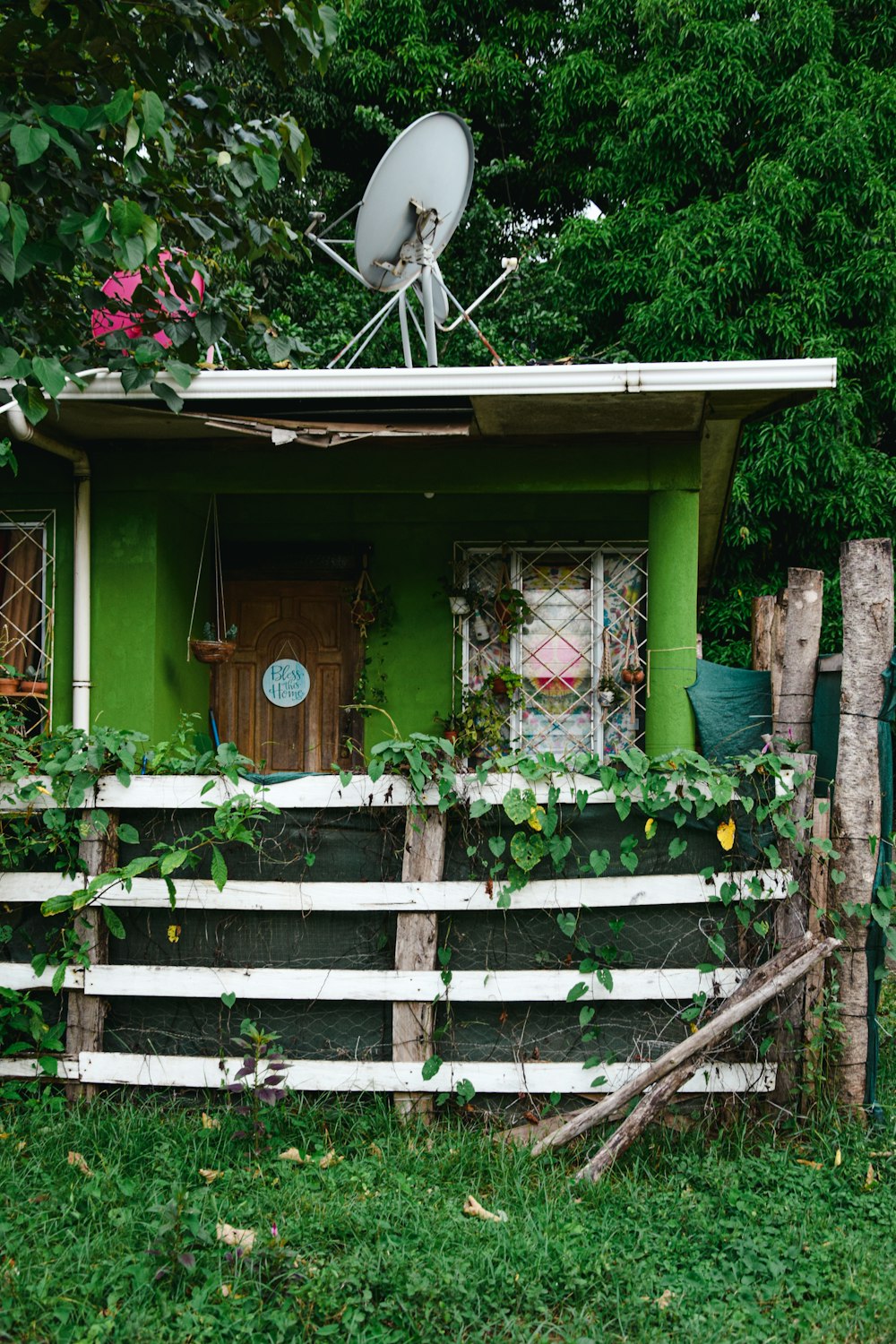 brown wooden door with green plants