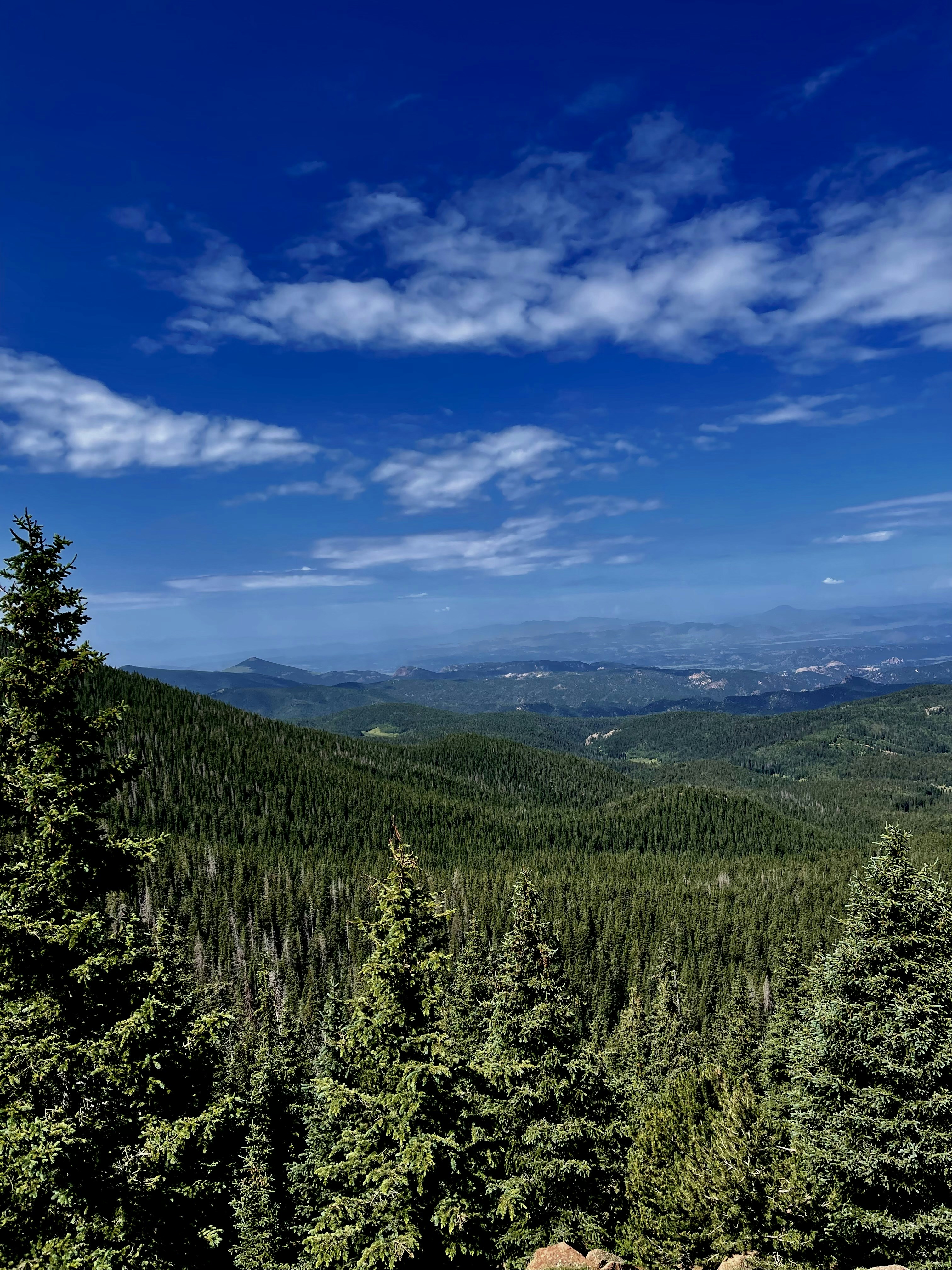 Photo by laitonbarbo