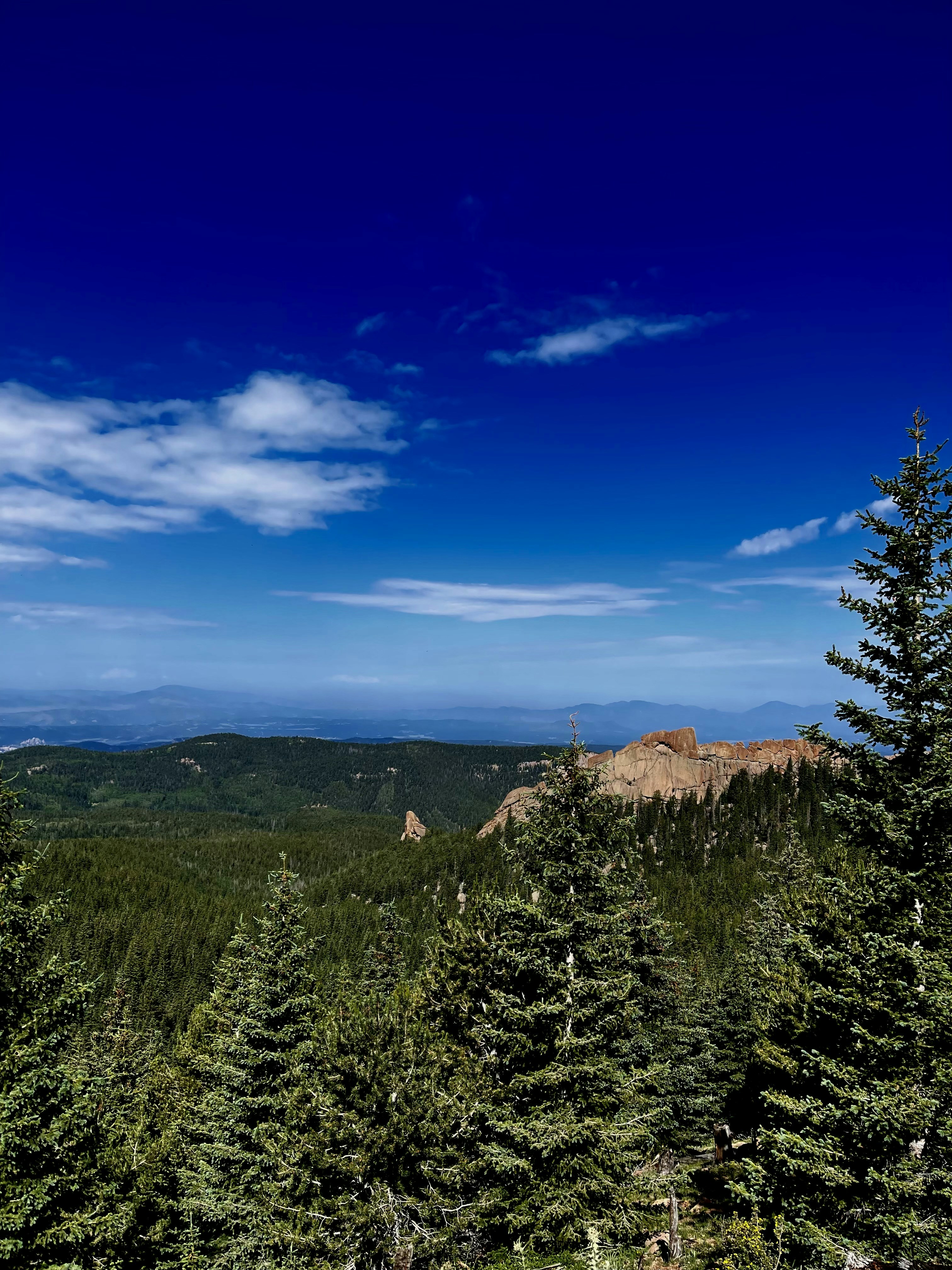 Photo by laitonbarbo