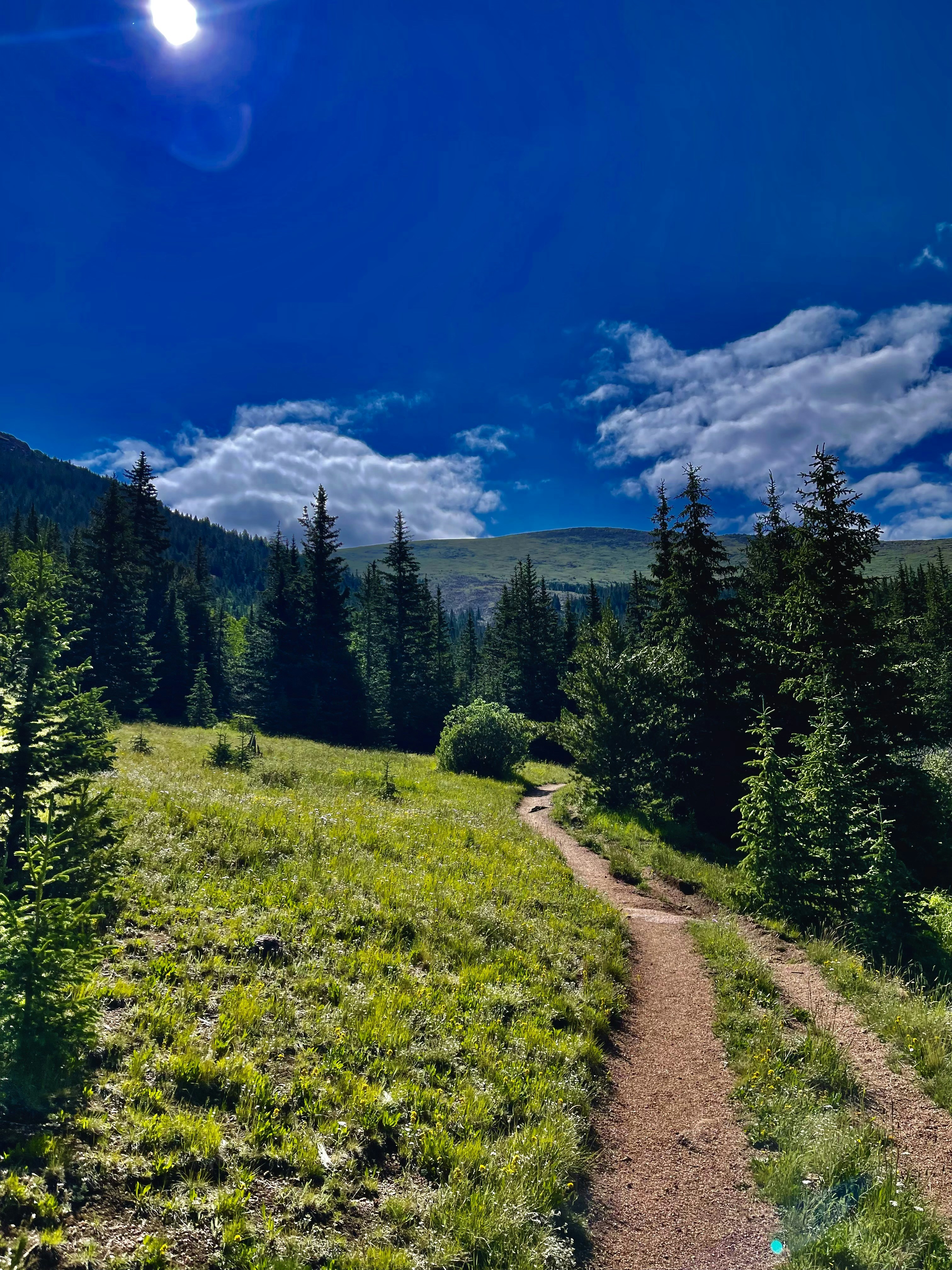 Photo by laitonbarbo