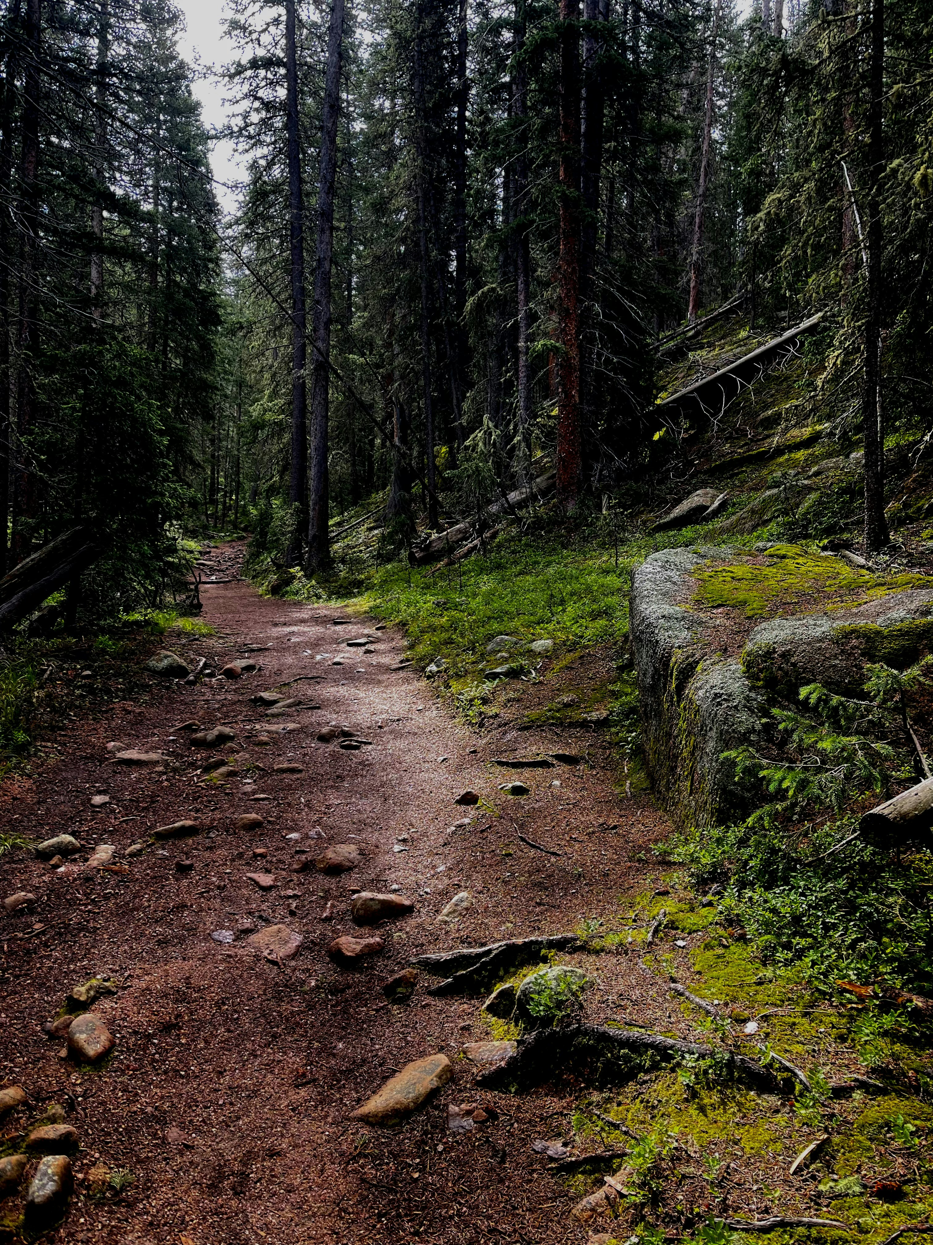 Photo by laitonbarbo