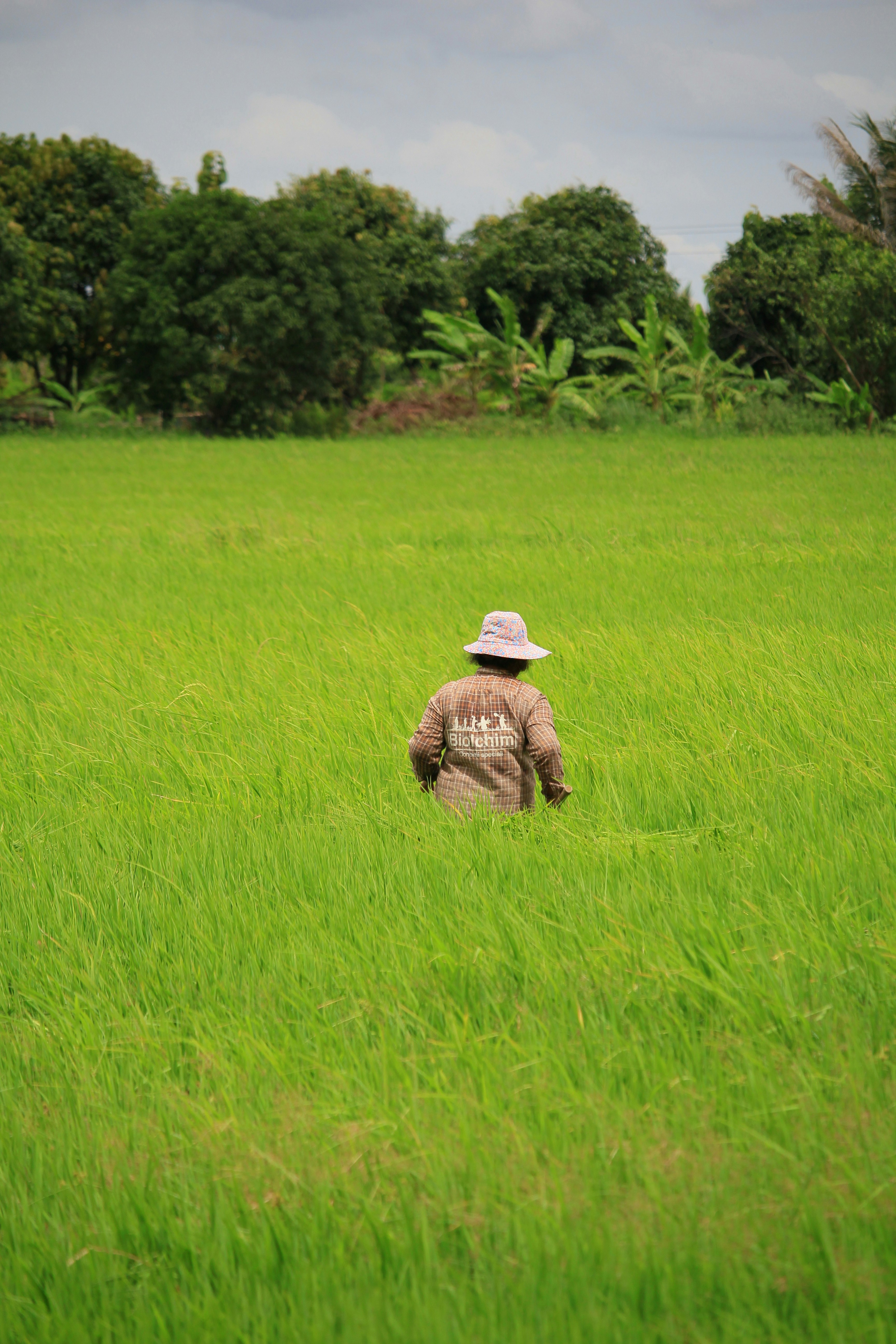 Photo by rutpratheep