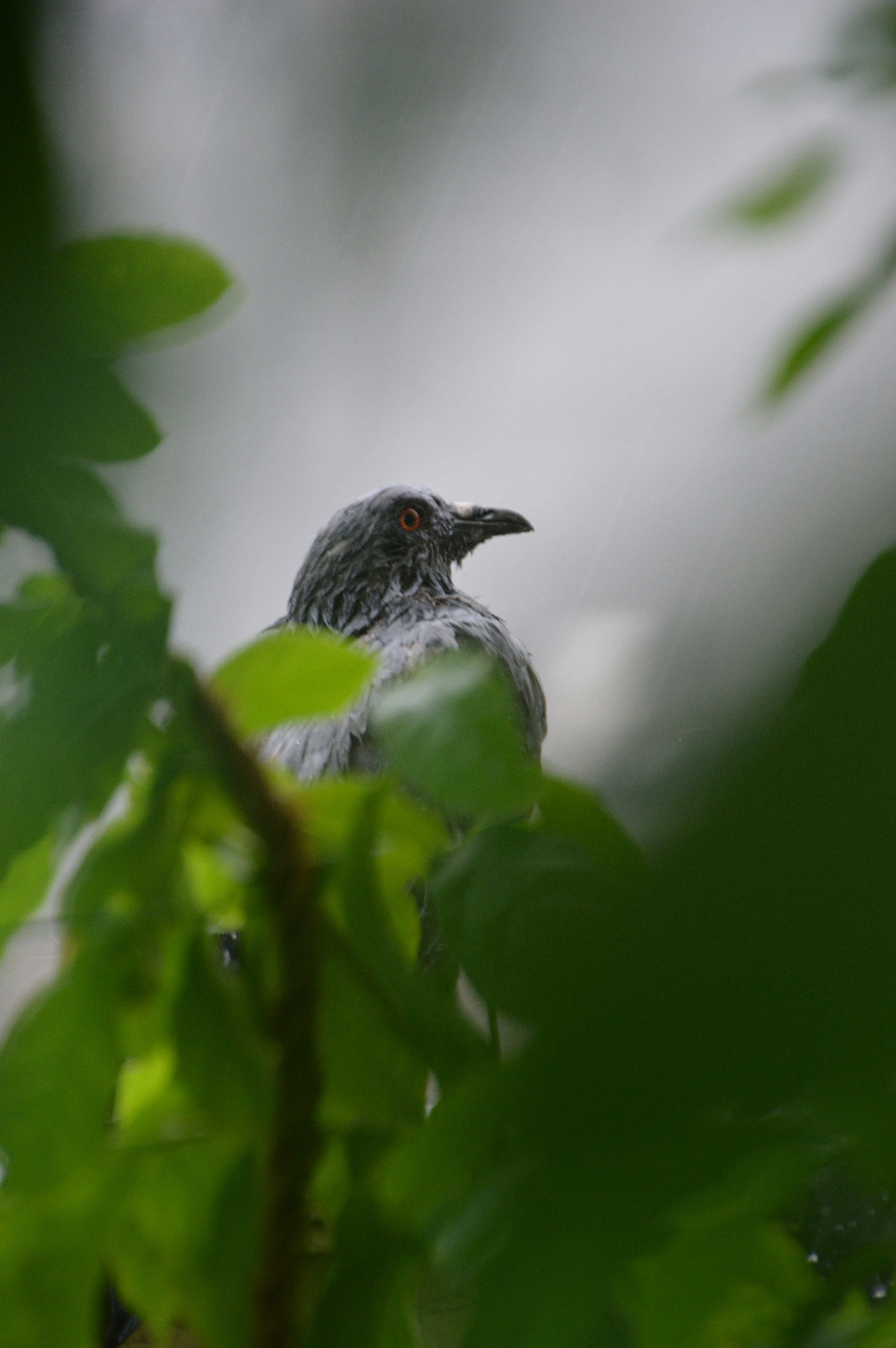 Photo by hemendrasingh