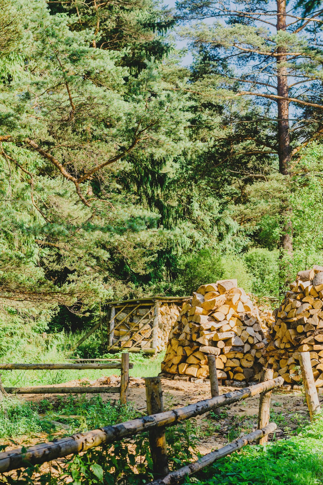 brown wooden fence near green trees during daytime